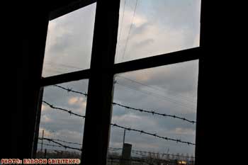 IMG_ (10946)
